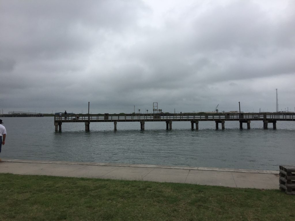 Visit and Watch Dolphins at Roberts Point Park in Port Aransas, Texas