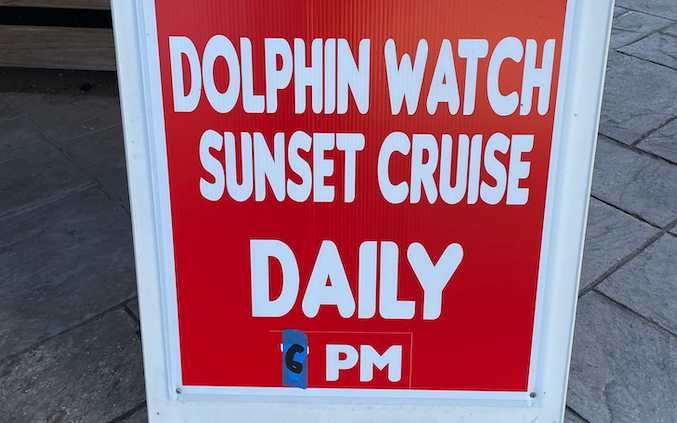 Dailyb Dolphin Watch Sunset Cruise :: Port Aransas, Texas